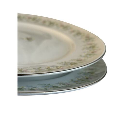 4 Johann Haviland “Forever Spring” 10” Dinner Plates Porcelain Germany EUC - Picture 12 of 16